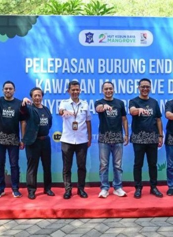 Pemkot Surabaya dan BRIN Kembangkan Kebun Raya Mangrove Jadi Pusat Pengetahuan Global