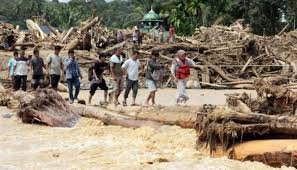 Tambang Emas Martabe Hentikan Operasi Akibat Banjir Bandang di Sumatera Utara