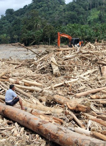 Kasus Kayu Gelondongan di Tapsel: Bareskrim Masih Proses, Belum Ada Tersangka