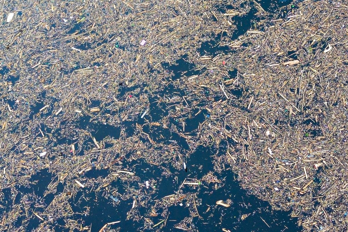 Pemerintah dan Polri Telusuri Dugaan Pembalakan Liar Pemicu Banjir Sumatera