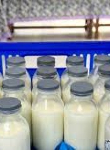 BGN Menanggapi Tudingan Susu MBG Hanya Mengandung 30 Persen Susu