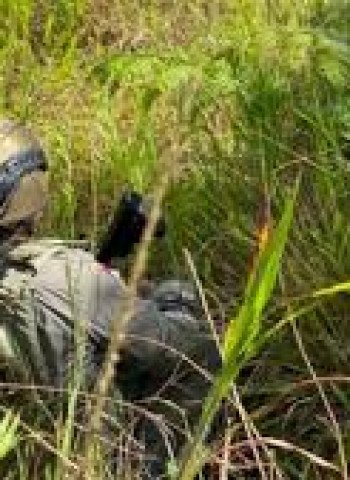 Aparat Keamanan Berhasil Memukul Mundur KKB Setelah Insiden Pembakaran Puskesmas Kiwirok