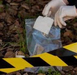 Dugaan Konsumsi Obat Berlebih, Seorang Mahasiswi Ditemukan Meninggal di Apartemen Cikarang