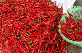 Pramono Sebut Harga Cabai Keriting di Jakarta Bakal Stabil dalam Waktu Dekat