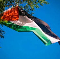 Ketua MPR Tegaskan Keterlibatan dalam BOP sebagai Wujud Nyata Dukungan Kemerdekaan Palestina