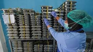 Wakil Kepala BGN Bantah Isu Pembagian Makan Bergizi Gratis pada Waktu Sahur