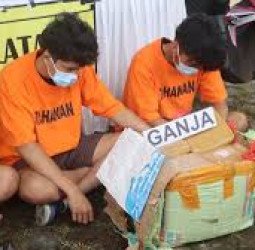Penyelundupan Ganja Antarkota Digagalkan di Matraman, Kurir Berhasil Diringkus Polisi