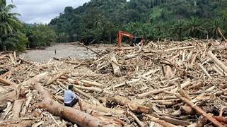 Polri dan Kejagung Gelar Perkara Kasus Kayu Gelondongan Banjir Sumatera