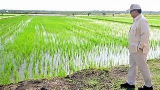 Prabowo Subianto: Optimisme Menuju Swasembada Pangan di Indonesia