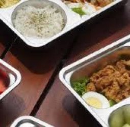 Program Makan Bergizi Gratis dan Tantangan Peran Oposisi PDI-P yang Kian Meredup