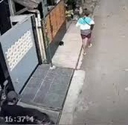 Heboh Video Perempuan Diadang Sekelompok Pria di Cengkareng, Polisi: Bukan Aksi Pembegalan