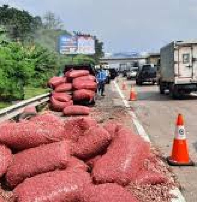 Tabrakan Innova dan Pikap di Tol Jagorawi, Muatan Sayur Tumpah Ruah di Jalanan