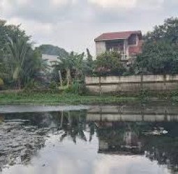 BBWSCC: Hilangnya Situ Jadi Penyebab Utama Banjir Jabodetabek Kian Parah