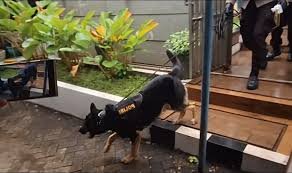 Anjing Pelacak Dikerahkan Buru Pelaku Perampokan Sadis yang Sasar Pasutri di Bekasi
